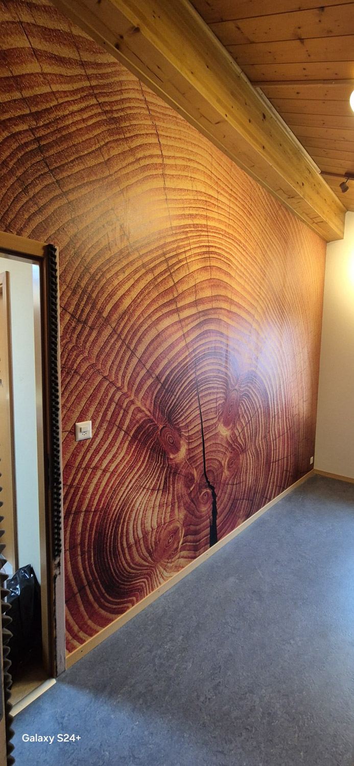 Avenir Peinture Renovation Interieure 6